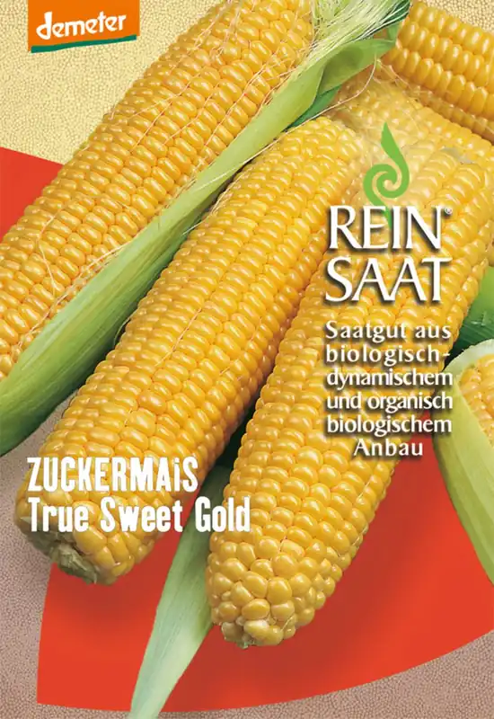 Favoriet van klanten | ReinSaat Suikermaïs "True Sweet Gold"