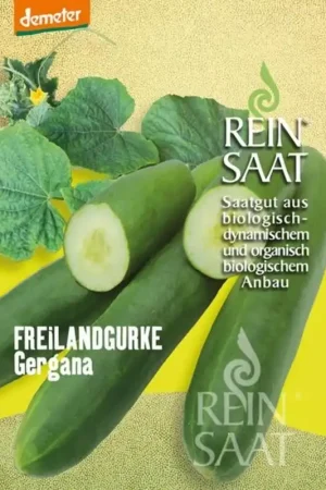 Op = op | ReinSaat Komkommer “Gergana”