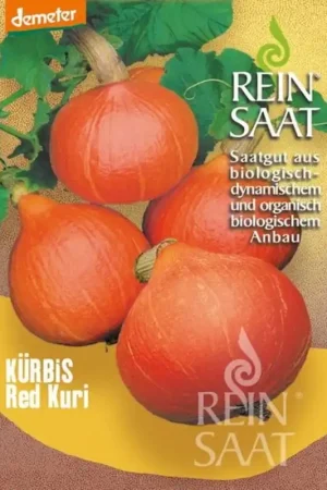 Bestseller | ReinSaat Pompoen "Red Kuri"