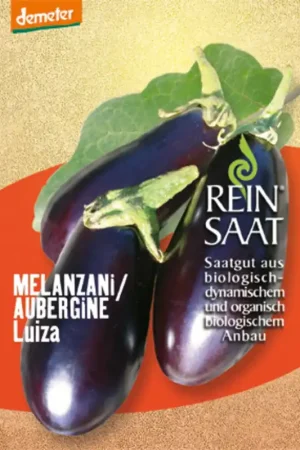 Rechtstreeks uit de fabriek - ReinSaat Aubergine "Luiza"