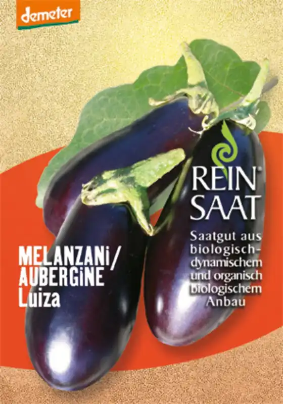 Rechtstreeks uit de fabriek - ReinSaat Aubergine "Luiza"