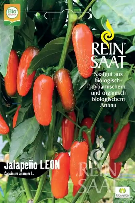 Bestelbaar - ReinSaat Chili "Jalapeño Leon"