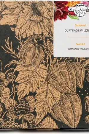 Magic Garden Seeds Geurende Wilde Rozen - Zaadset | Veel gevraagd