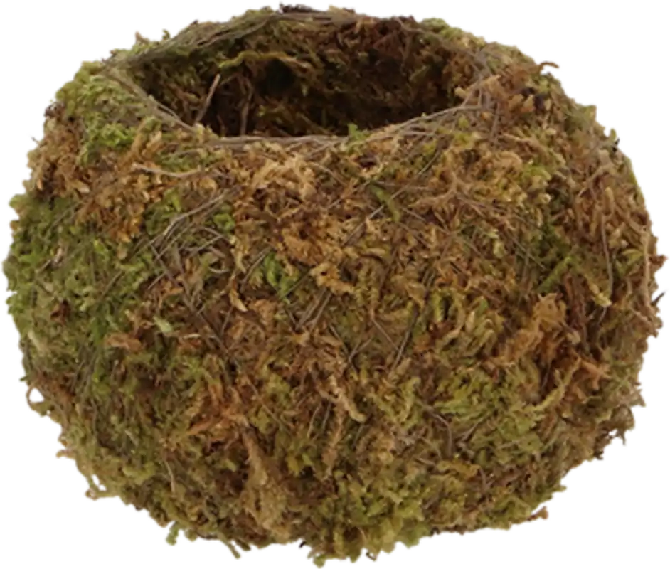 Gratis retourneren | Esschert Design Kokedama Bol, S