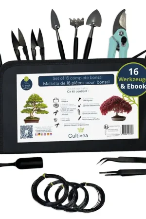 Cultivea Bonsai Complete Set - Laatste kans