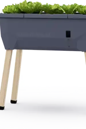Nieuw in het assortiment - GUSTA GARDEN SAMMY SALAD Verhoogd Bed zonder Afdekking, antraciet