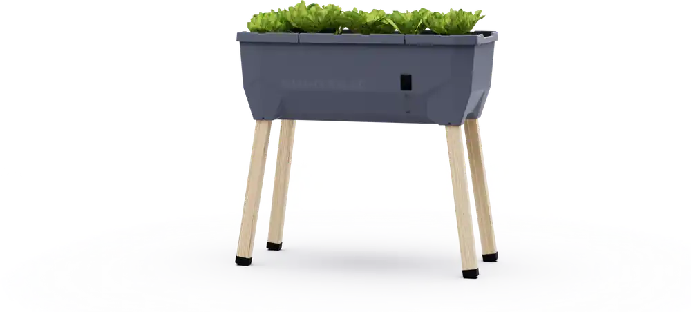 Nieuw in het assortiment - GUSTA GARDEN SAMMY SALAD Verhoogd Bed zonder Afdekking, antraciet