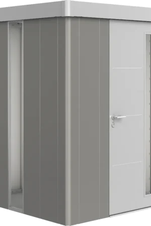 Flitsaanbieding - Biohort Getint Lichtpaneel voor Neo Gereedschapsschuur, Zilver-metallic