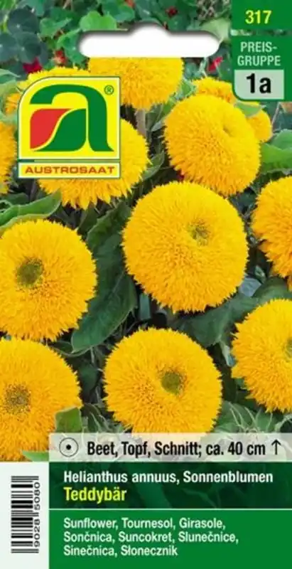 AUSTROSAAT Zonnebloem Teddybeer - Populair