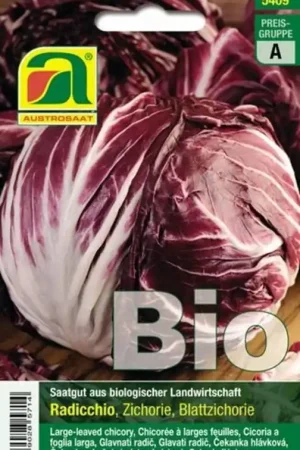 Voordeelprijs - AUSTROSAAT Biologische Radicchio Palla Rossa 3