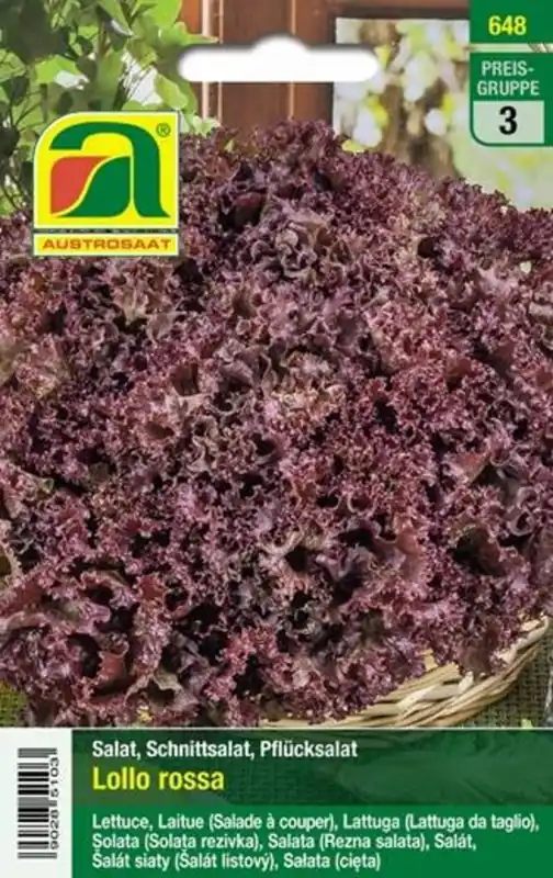 Direct leverbaar | AUSTROSAAT Biologische Sla Lollo Rossa