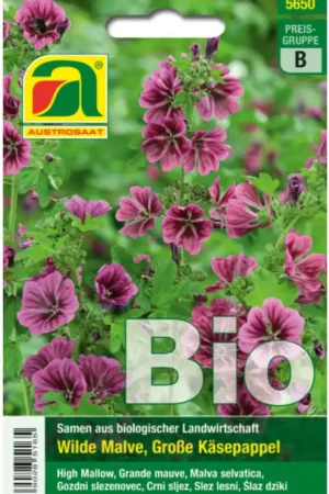Actie loopt bijna af - AUSTROSAAT Biologische Madeliefjes Mauritania