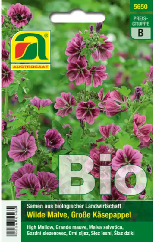 Actie loopt bijna af - AUSTROSAAT Biologische Madeliefjes Mauritania