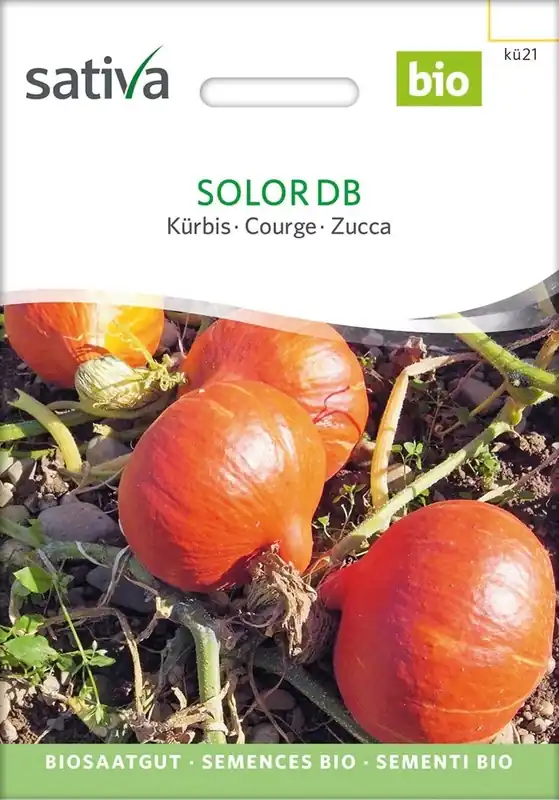 Voordeelprijs - Sativa Biologische Pompoen "Solor Db"
