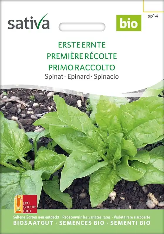 Sativa Biologische Spinazie "Erste Ernte" | Direct bestellen