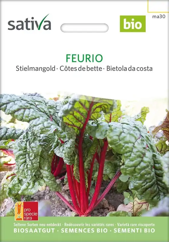 Sativa Biologische Snijbiet "Feurio" - Voeg toe aan winkelwagen