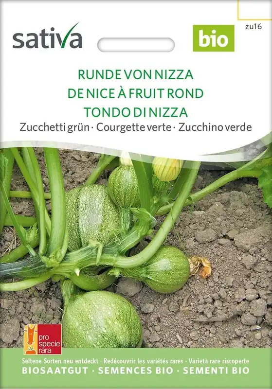 Sativa Biologische Courgette Groen "Runde von Nizza" | Veilig winkelen