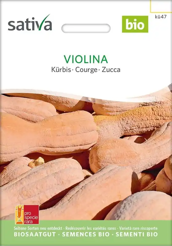 Sativa Biologische Pompoen, Violina | Populair bij klanten