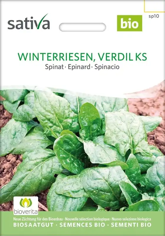 Sativa Biologische Spinazie, Winterriesen, Verdil Ks - Verlaagde prijs