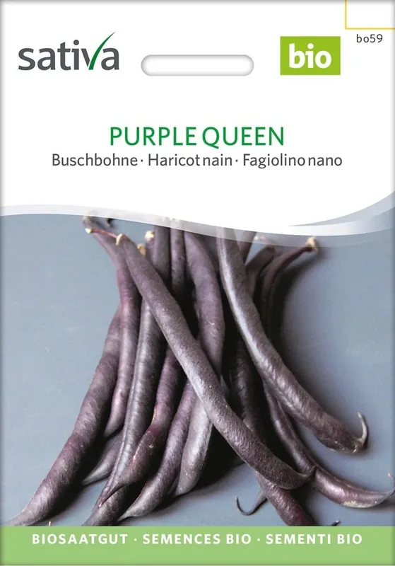 Sativa Biologische Struikboon, Purple Queen - Veilige betaling