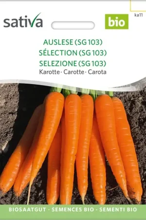 Veel gekozen | Sativa Biologische Wortel, Selectie (Sg 103)
