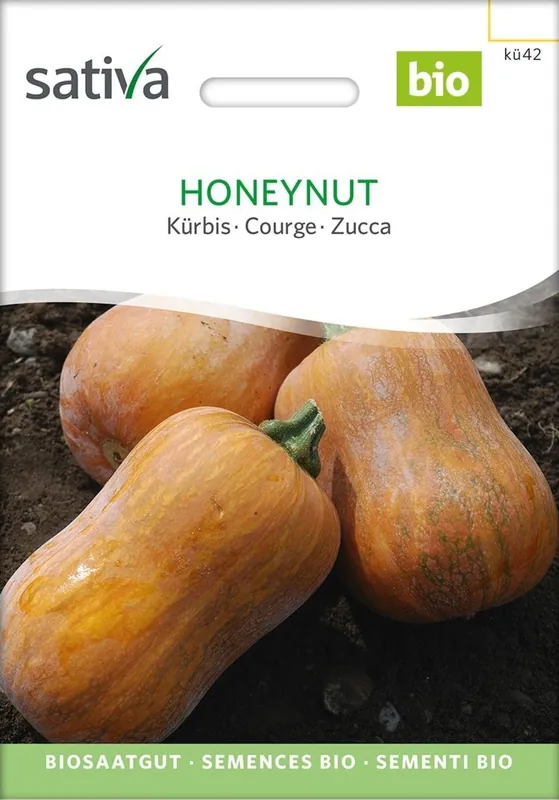 Sativa Biologische Pompoen - Honeynut - Direct bestellen