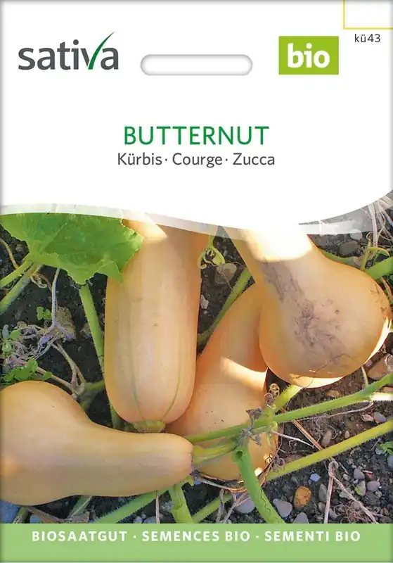 Scherp geprijsd - Sativa Biologische Pompoen - Butternut