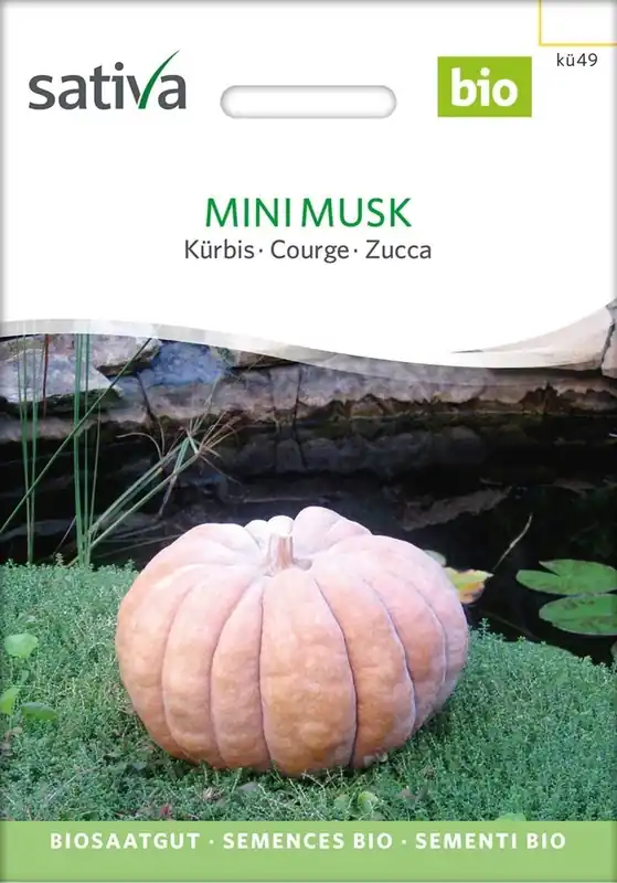 Koopje | Sativa Biologische Pompoen - Mini Musk