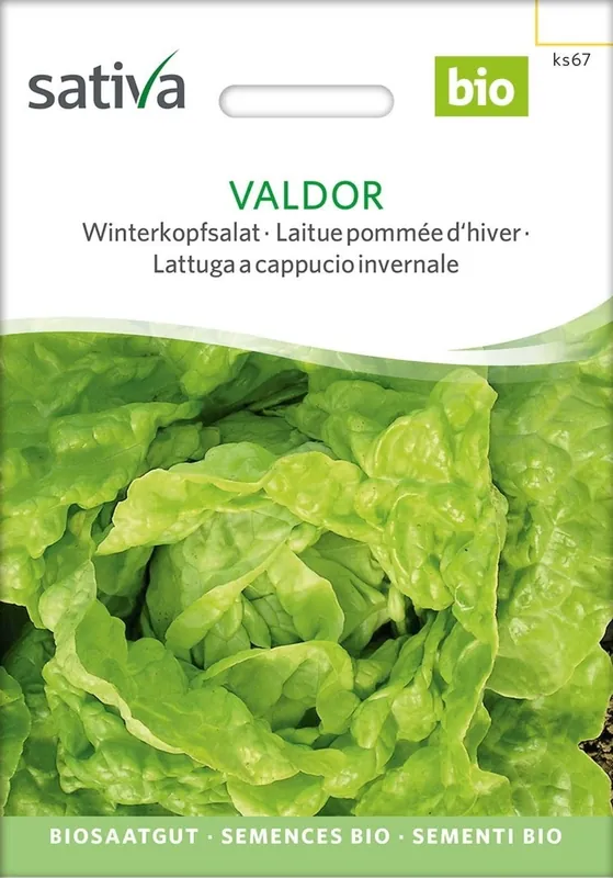 Sativa Biologische Wintersla, Valdor - Nu kopen