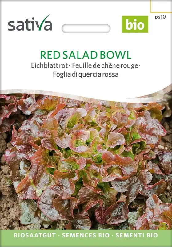 Net gelanceerd | Sativa Biologische Rode Eikenbladsla, Red Salad Bowl