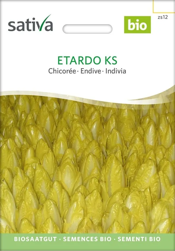 Nu beschikbaar | Sativa Biologische Witlof, Etardo Ks