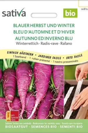 Topproduct - Sativa Biologische Winterradijs, Blauer Herbst Winter Zaadband