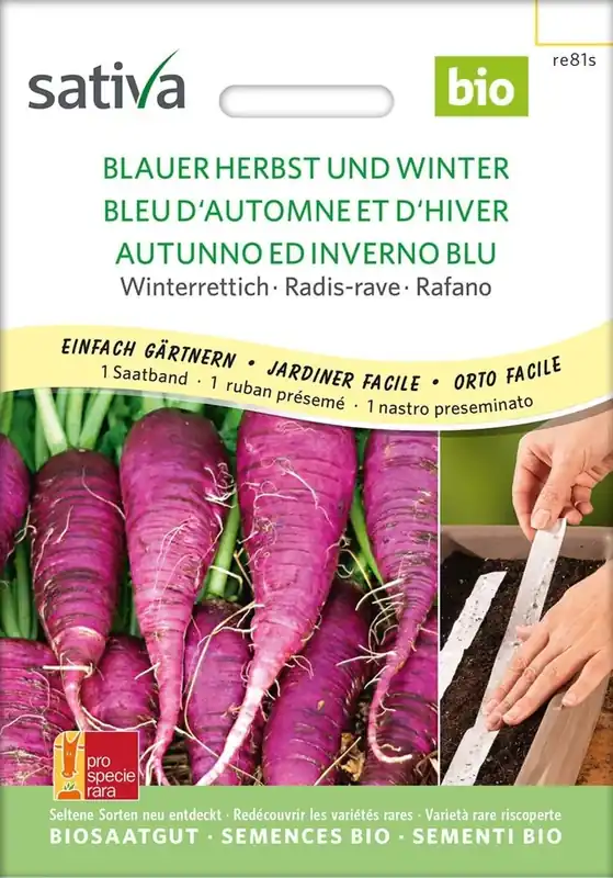 Topproduct - Sativa Biologische Winterradijs, Blauer Herbst Winter Zaadband