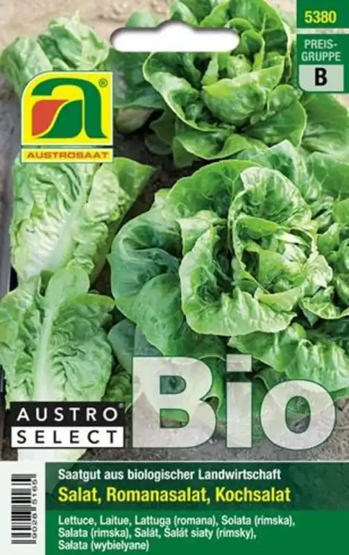 Uitverkoop | AUSTROSAAT Biologische IJsbergsla Zieglers Wiener Maidivi