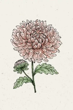 Bestelbaar - Jora Dahl Zomeraster King Size Apricot