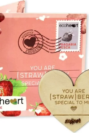 Feel Green ecostick "Aardbei" ecoheart | Voorraad bijna op