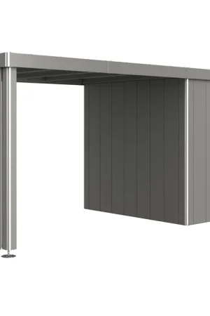 Premiumkwaliteit | Biohort Zijdak voor Gereedschapsschuur Neo- Kwartsgrijs-Metallic, Grootte 2A/2B/2C/2D