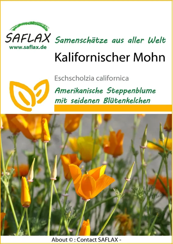 Saflax Californische Klaproos - Premium