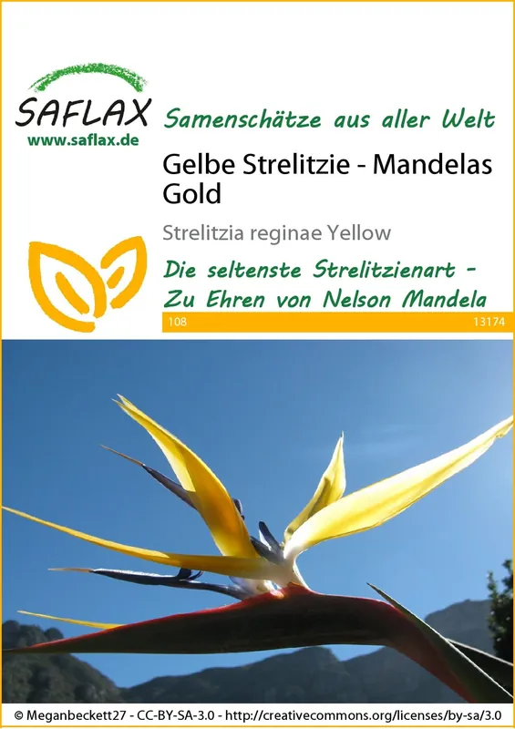 Saflax Gele Strelitzia - Mandelas Gold - Prijs verlaagd