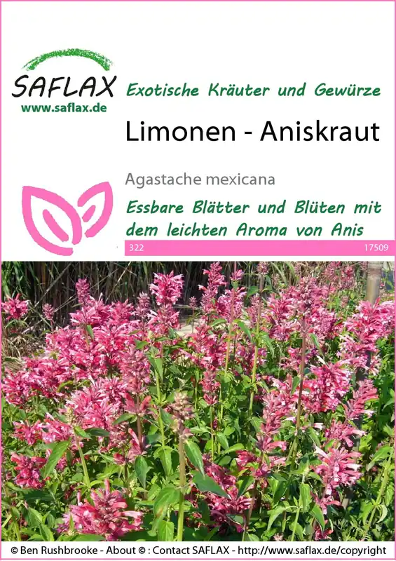 Sale | Saflax Limoen - Anijs
