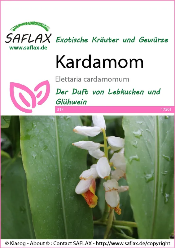 Flitsaanbieding - Saflax Kardemom