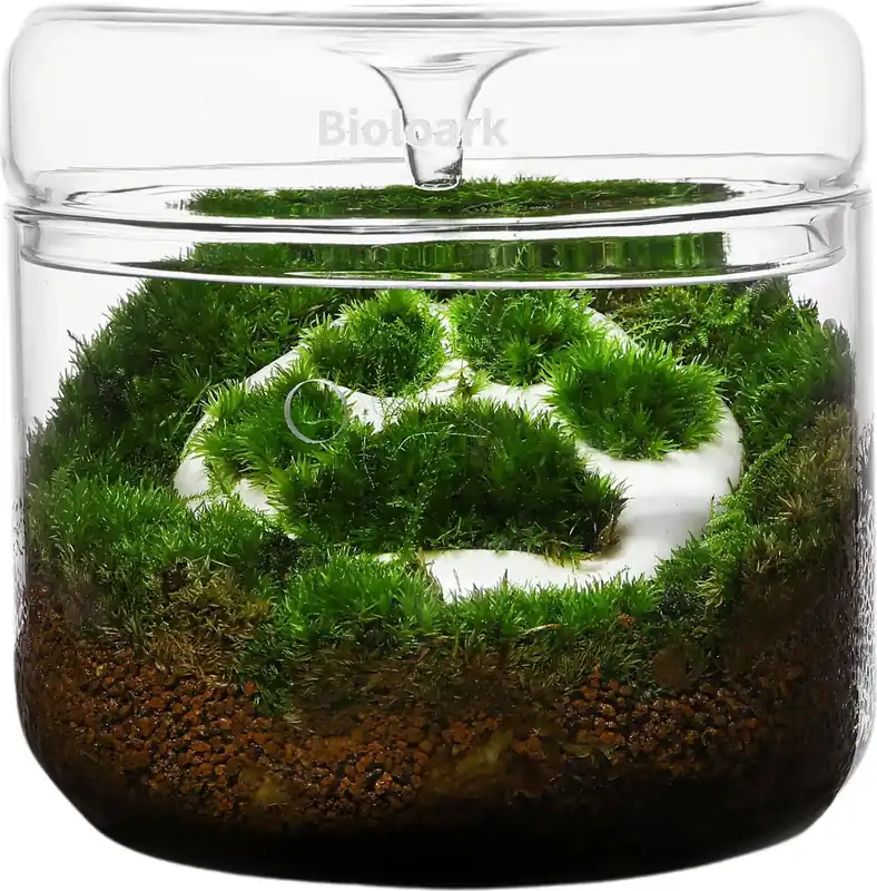 Bioloark Luji Glass Cup MY-120 | Prijsverlaging