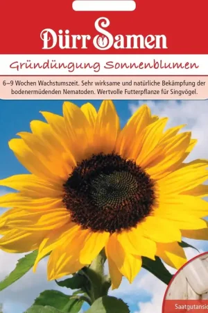 Aanrader | Dürr Samen Groenbemester Zonnebloemen, 50 g