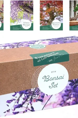 LOVEPLANTS Bonsai Starter Kit - Verlaagde prijs