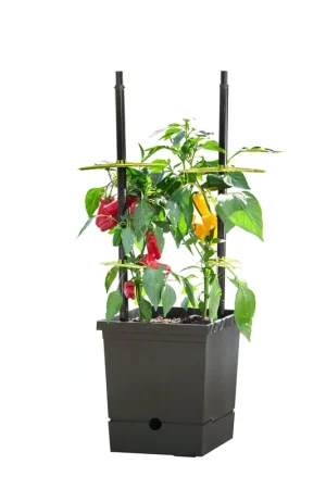 Bestseller | Romberg Tomatenpot met Zelfbewatering & Flexibele Klimhulp