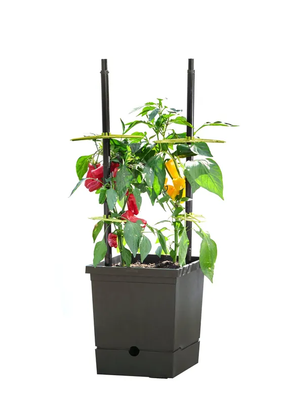 Bestseller | Romberg Tomatenpot met Zelfbewatering & Flexibele Klimhulp