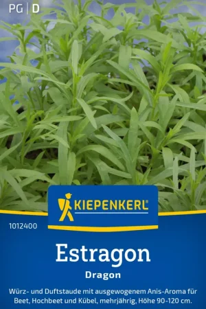 Beste prijs | Kiepenkerl Estragon Dragon