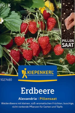 Kiepenkerl Aardbei "Alexandria", Zaadpil - Topkwaliteit