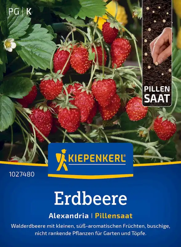 Kiepenkerl Aardbei "Alexandria", Zaadpil - Topkwaliteit