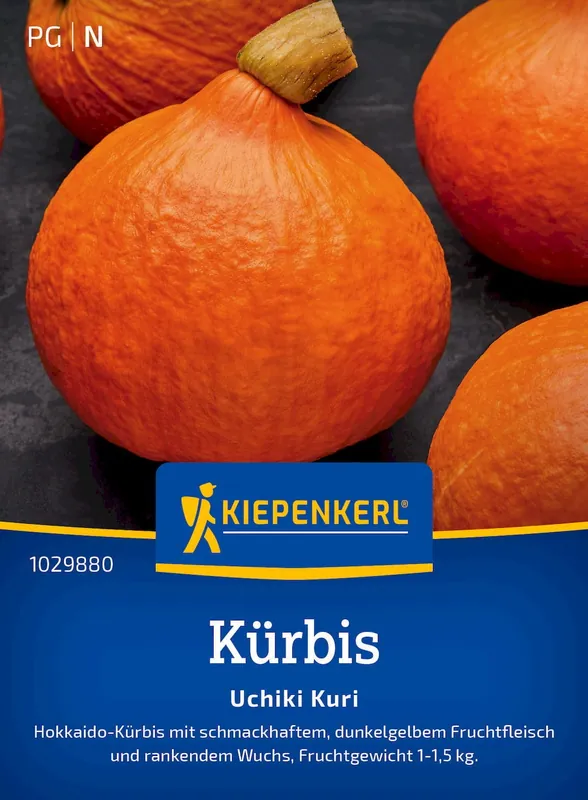 Kiepenkerl Pompoen "Uchiki Kuri" - Topdeal